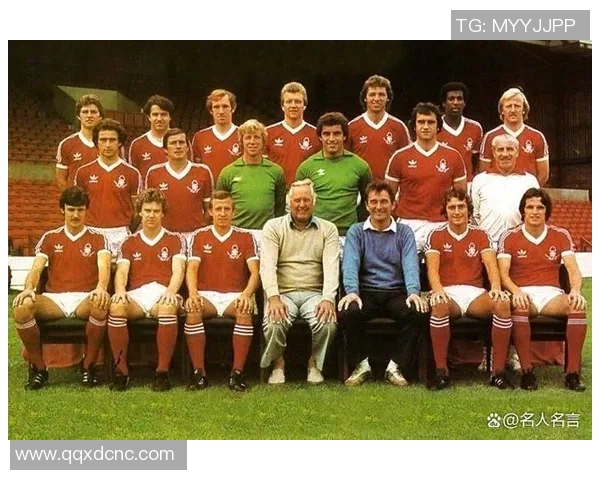 英格兰足球明星的辉煌历程与影响力探讨