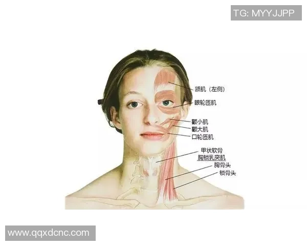 足球明星肌肉对比高清图解剖各大球星的力量与技巧之美 足球明星肌肉对比高清图解剖各大球星的力量与技巧之美