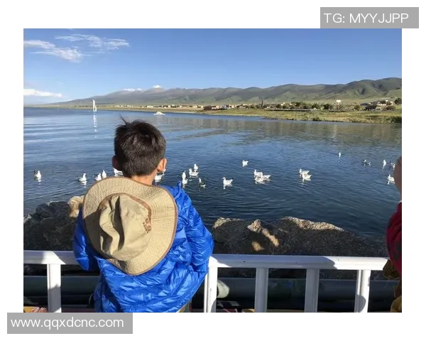 重庆羽毛球队区域防守革新之路探索与实践分析 重庆羽毛球队区域防守革新之路探索与实践分析