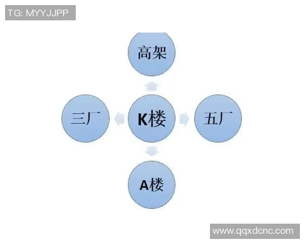 独家分析：重庆排球队的速度对比